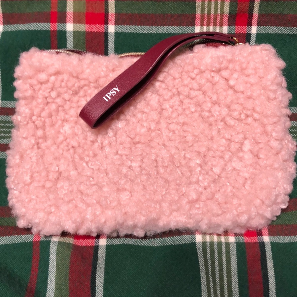 IPSY makeup bag.